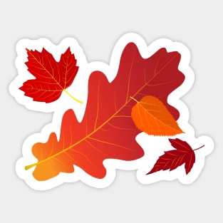 Turn a New Leaf this Autumn Sticker